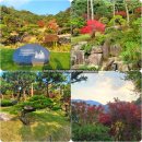 서울근교 단풍구경할만한 곳 경기도광주 &lt;화담숲 가을 단풍 축제&gt; 주차정보 입장료&amp;근교 추천 맛집