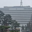 비에이치메디칼 네이버블로그