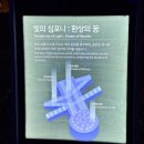 숲속의 이글루 | 고령 가볼만한곳 | 대가야수목원 눈 내리는 빛의 숲 심층 후기, 야간 개장·눈꽃·주차 꿀팁 총정리