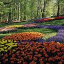 용인대학교 일반대학원 이미지