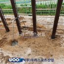 신의초등학교 이미지