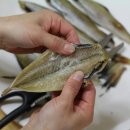 진짜노가리 이미지