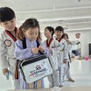 경희대 수청태권도 이미지