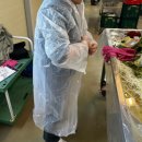 남사-20 | 경기도 용인 남사농원 김장체험 다녀온 후기(배추 예약, 가격, 준비물 등)