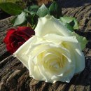 관저중로-9 이미지