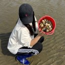 수선화펜션가족단체독채갯벌체험 | 태안 갯벌체험 펜션 해루질부터 바베큐까지 놀거리 가득한 수선화펜션