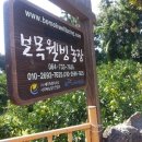 따봉농장 네이버블로그