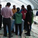 화산농장 이미지