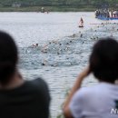 석촌호 뉴시스