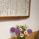 카페일구오삼