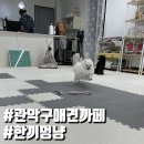 한끼멍냥 네이버블로그