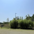 개구멍 | 담양여행 죽녹원 입장료, 주차장 정보 꿀팁 당일치기 코스 추천