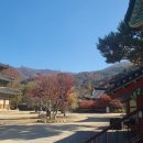 모악산도립공원 이미지