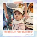 소니아디자인 | 돌아기 캡모자 모이몰른 소니아 귀달이 봄 외출용 신상 내돈내산 후기