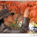 (주)영진연구지원점 이미지