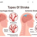 엑서사이언스짐 이미지