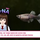 이원소프트 이미지