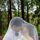 오유엔와이스튜디오