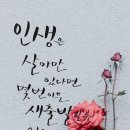 바늘자리 네이버블로그