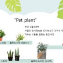 레인보우어린이집 이미지