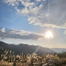 평원애견 이미지