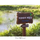 매화미르마을 이미지