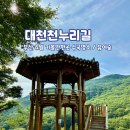 화명대천천 | 부산 북구 대천천 누리길 실시간 개화 및 수국 산책:: 유아숲