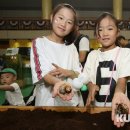 무주예체문화관 1층 이미지