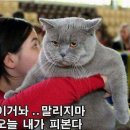 정가네짬뽕 이미지