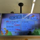 강아지&고양이 마을 | 성수 고양이 카페_길고양이마을 성수협력점 내돈내산 방문후기