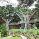 유아숲체험원(제3호) 이미지