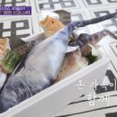 유퀴즈 70회 노래 BGM 배경음악 후기 정리 - 응답하라 세대들이여 날아라 슛돌이 근황 Z세대 Y세대 X세대