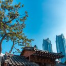 이휴정 | 울산 남구 도심에서 휴식을 즐기는 이휴정과 용원서원