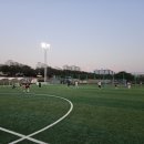 금호강 둔치 축구장 | 대구 동촌둔치 축구장 예약 방법 및 이용 후기