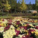 함평자연생태공원 이미지