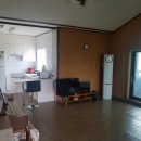 용인별바라기 이미지