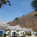 사나래카라반 이미지