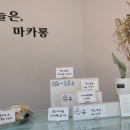 오늘은마카롱 이미지
