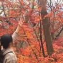 전북특별자치도산림박물관 이미지