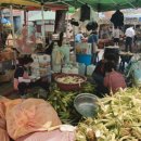 묵호항 자연산 수산물 판매시장 이미지