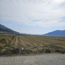 용성게이트볼장 이미지