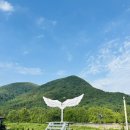 씨엘로 펜션 3 이미지