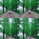 마석초등학교(병설) 이미지