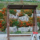 여우골농장 이미지