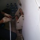 장림2동-8 이미지