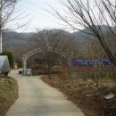 정심사 부근 이미지