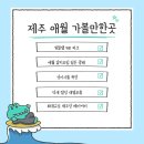 광해목장 | 제주 애월 가볼만한곳 실내 서쪽 관광지 모음