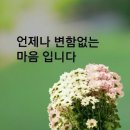 제주도산북소각장주민지원협의체 | 제주 신천지 교인 607명 조사...34명 유증상자, 43명 연락 안돼