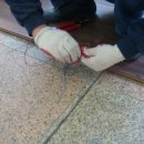 옥천초병설유치원 이미지