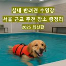서울펫츠베이 티스토리